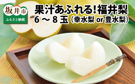 【先行予約】「福井梨」6～8玉 シャキっとした食感♪ あふれ出す果汁！【幸水梨】【2025年8月中旬～8月下旬発送予定】【梨 なし 和梨 先行予約 ナシ フルーツ 甘い みずみずしい 果実 果物 新鮮 お土産 贈り物 旬の果物】 [A-1007_08]