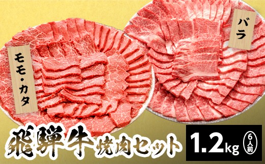 【11月発送】飛騨牛 贅沢！焼肉セット 6人前 1.2kg 牛肉 和牛 肉 焼肉 BBQ キャンプ バーベキュー 霜降り カルビ 赤身 モモ カタ 東白川村 岐阜 岐阜県産 養老ミート