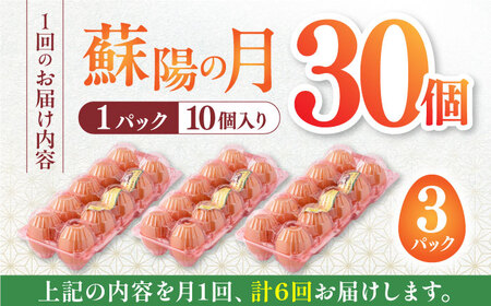 【全6回定期便】蘇陽の月 こだわり卵 30個入り ( 10個入り × 3パック ) 山都町卵 熊本県産卵 卵 新鮮卵 高品質卵 卵 小分け卵 卵焼き パック卵 高評価卵 美味しい卵 笑顔の卵 卵かけご
