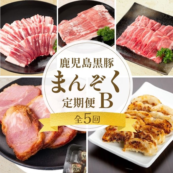 【D02007】 ＜定期便・全5回＞かごしま黒豚まんぞく定期便B (月1回×5ヶ月)