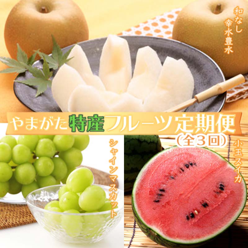 【ふるさと納税】 《2026年発送先行予約》やまがた特産フルーツ定期便（全3回） マスカット ぶどう ブドウ 葡萄 デザート フルーツ 果物 くだもの 果実 食品 山形県 FSY-0098