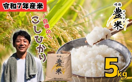 コシヒカリ 5kg 令和7年産【豊米】コシヒカリ 長野県 飯山市（7-52B）