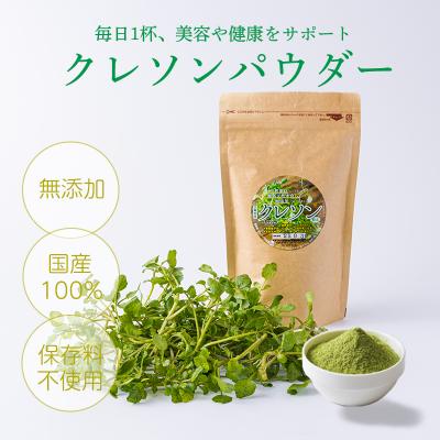 ふるさと納税 高原町 無添加 高原町産クレソンパウダー1袋(100g)[国産 微粉末] TF794