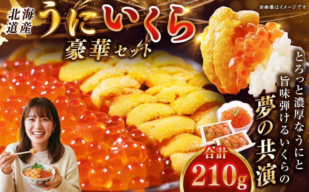 
                  えぞバフンうに折60g×2 いくら醤油漬け90g×1 ふるさと納税 うに いくら F4F-8829
                