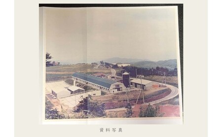油絵で高級感のある風景画を描きます（41×32cm）