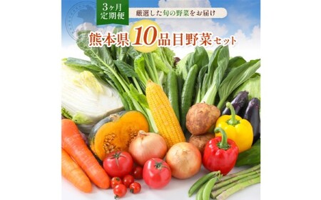 【 3か月 連続 定期便 】 熊本県 10品目 野菜 セット 3ヶ月 定期便 フレッシュ 新鮮 野菜 青果 サラダ おまかせ お任せ 厳選 お楽しみ ランダム 冷蔵