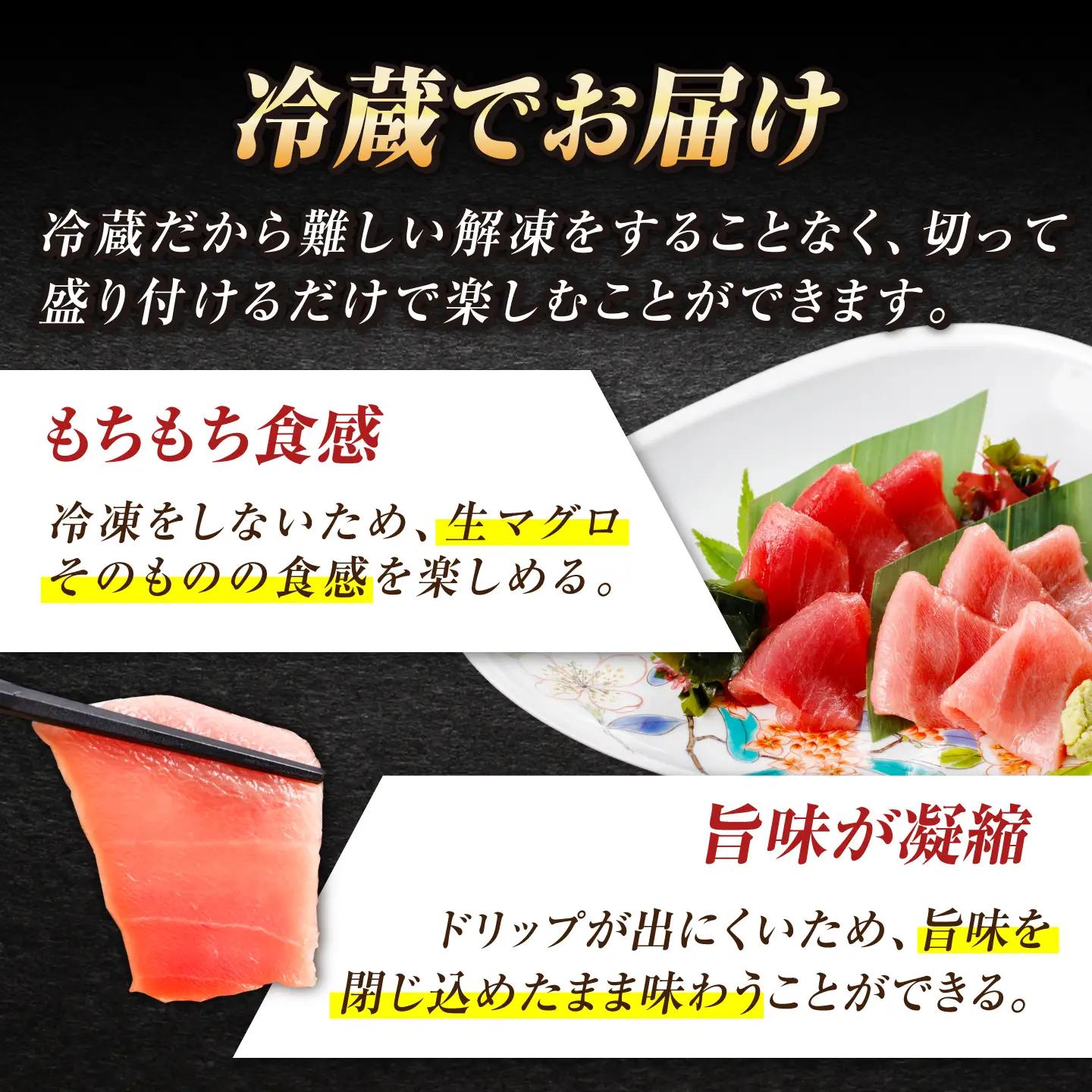 【冷蔵だから人気！】生本マグロ 赤身 中トロ 計約500g [RBP003] 