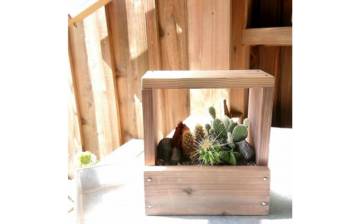 
富山県産杉のウッドプランター「箱庭アレンジ」
