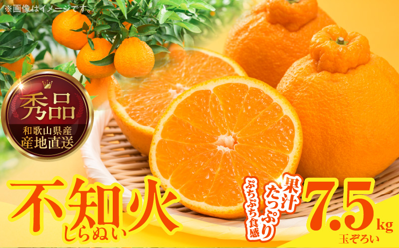 MK1009_不知火 (しらぬい) 秀品 玉ぞろい 箱込 7.5kg (内容量約6.8kg) 