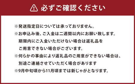 【厳選品】岩手にのへじゃがいも「伝」3～4種 品種おまかせ (サイズ混合) 5kg 【2025年9月中旬から2026年2月下旬発送予定】／ジャガイモ じゃがいも 芋 イモ 野菜 お取り寄せ 産地直送