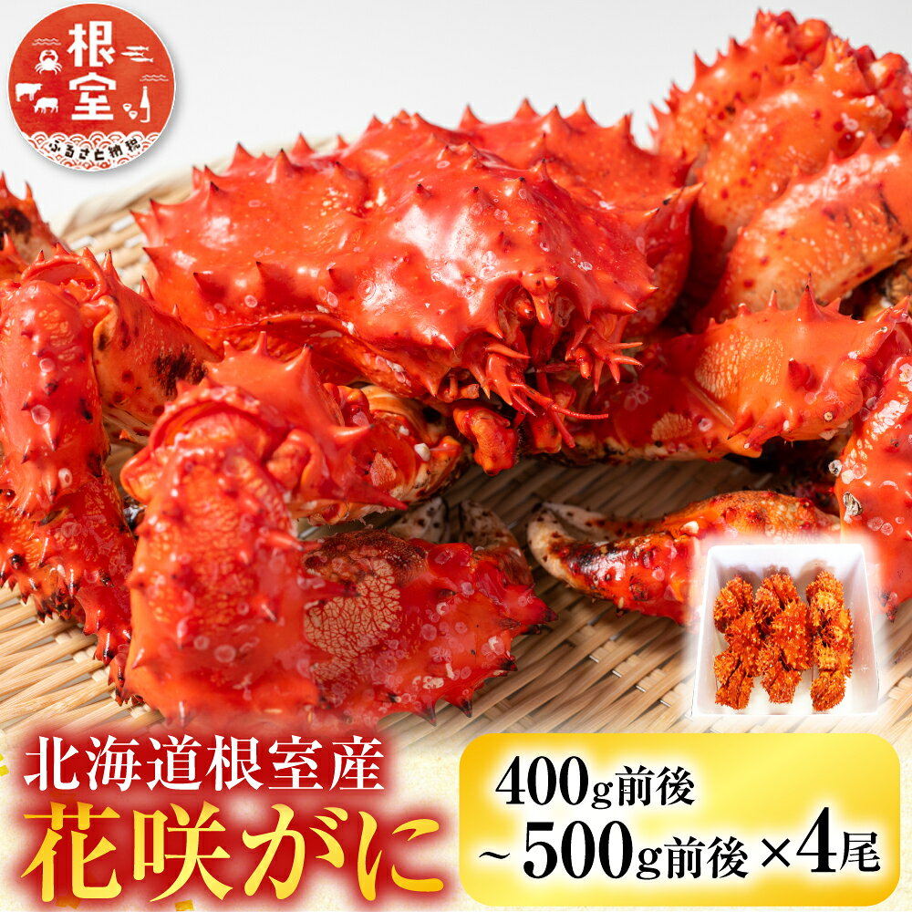 【ふるさと納税】 [北海道根室産] 花咲かに400g前後〜500g前後×4尾 花咲がに 花咲 花咲ガニ 花咲蟹 かに カニ 蟹 お取り寄せ グルメ 海鮮 北海道 根室市 ふるさと納税 B-36015