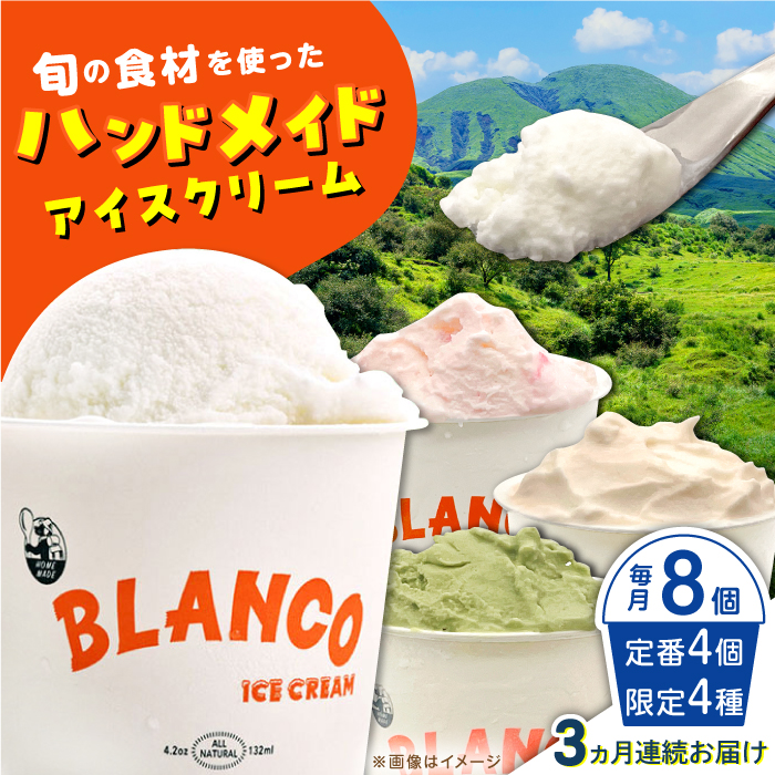 【全3回定期便】ハンドメイドアイスクリーム 6種 食べ比べ  8個セット 詰め合わせ アイスクリーム 熊本 山都町 アイス【BLANCO ICE CREAM】[YCM006]