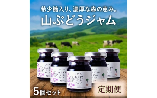 ＜毎月定期便＞希少糖入り・山ぶどうジャム 5個全2回【4078853】