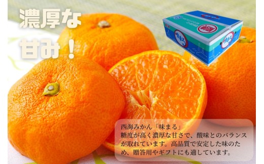 [C328-x-11］【 早期受付 】 【 11月発送 】 西海みかん ｢ 味まる ｣ 5kg 産地直送 ブランドみかん 糖度 12度以上 新鮮 家庭用 温州みかん 佐世保みかん フルーツ 柑橘 オレ
