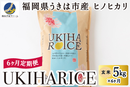 【6ヶ月定期便】みずほファーム UKIHA RICE (玄米5kg×6ヶ月)  【2025年11月より順次発送予定】 米 ヒノヒカリ お米 ご飯 うきは市