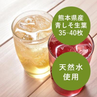 ふるさと納税 あさぎり町 ポリフェノールたっぷりのしそドリンク10本セット(青しそ200ml×10本) |  | 02