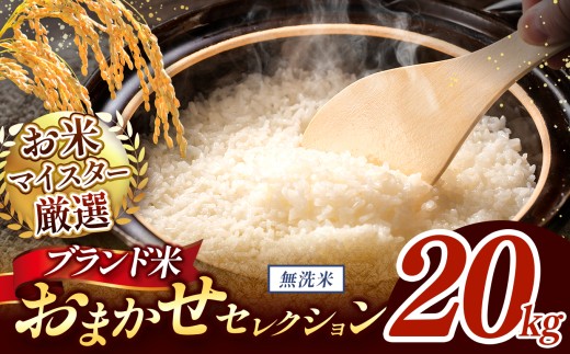 【 令和7年産 】おまかせ セレクション 熊本県産 無洗米  ＜ひのひかり / 森のくまさん / くまさんの輝き ＞ 20kg 単品  | 単一銘柄 米 単一米 お米 こめ 小分け 人気 コメ お米 5kg 10kg 15kg 20kg 25kg 30kg 定期便 3回 6回 12回 ブランド米 菊池川流域 家庭用 送料無料 熊本 くまもと 熊本県 和水 和水町 人気 ごはん