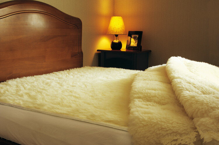 【ふるさと納税】ザ・プレミアム ソフゥール 掛け毛布クイーン (200×190cm)｜敬老の日 お歳暮 贈答品 ギフト 誕生日プレゼント 贈り物 父の日 母の日 クリスマス お見舞【db】 [0971]