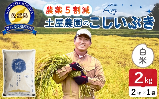 佐渡島産こしいぶき 白米 2kg 令和8年産 農薬5割減 土屋農園 | 新潟県産こしいぶき 新潟産こしいぶき 佐渡産こしいぶき こしいぶき お米 米 白米 精米 おこめ コメ 2キロ にいがた さど 新潟県 佐渡市