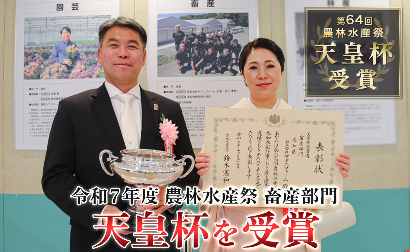 国産 よさこい尾鶏 チキンスペアリブ 2kg 大容量 旨辛 スパイシー ビールに合う ビール おつまみ 晩酌 酒の肴 おかず 弁当 レンジ レンチン 時短 タイパ 簡単調理 手羽中 唐揚げ 揚げ物 と