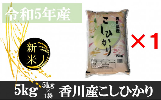 
995　令和5年産香川県産こしひかり　5ｋｇ　紙袋配送
