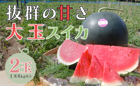 抜群の甘さ! スイカ 2玉 大玉 (6kg以上) 甘い 高糖度 西瓜 すいか 種なし 黒玉 産地直送