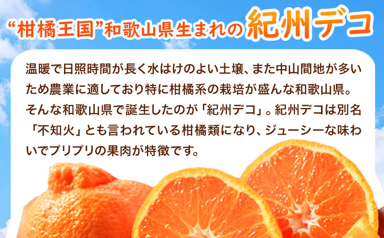【先行予約】果肉プリプリ♪ 完熟紀州デコ(不知火) 約5kg 株式会社魚鶴商店《2025年2月下旬-3月末頃出荷》和歌山県 日高町 不知火 柑橘 果物 フルーツ 