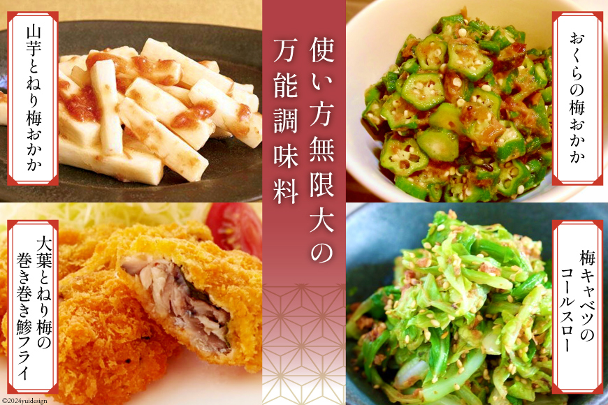 南高梅 梅おかか 100g×3袋 [農林産物直売所 美郷ノ蔵 宮崎県 美郷町 31ab0103] ねり梅 和え物 簡単調理 便利 あっさり さっぱり 国産 セット 詰め合わせ 宮崎県産 常温 送料無料