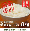 【ふるさと納税】多度津町産 新米 おいでまい （令和6年産新米:11月頃より発送）白米8kg（2kg×4袋)〔最高ランク「特A」評価獲得したお米〕