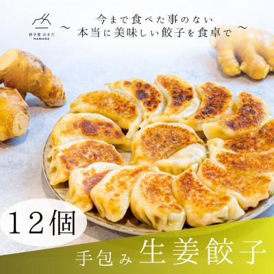 ふるさと納税 草津市 手包み生姜餃子　12個入り