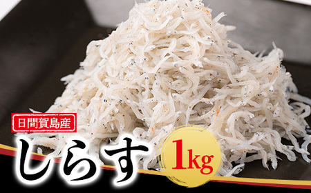 日間賀島 しらす 1kg 【シラス】