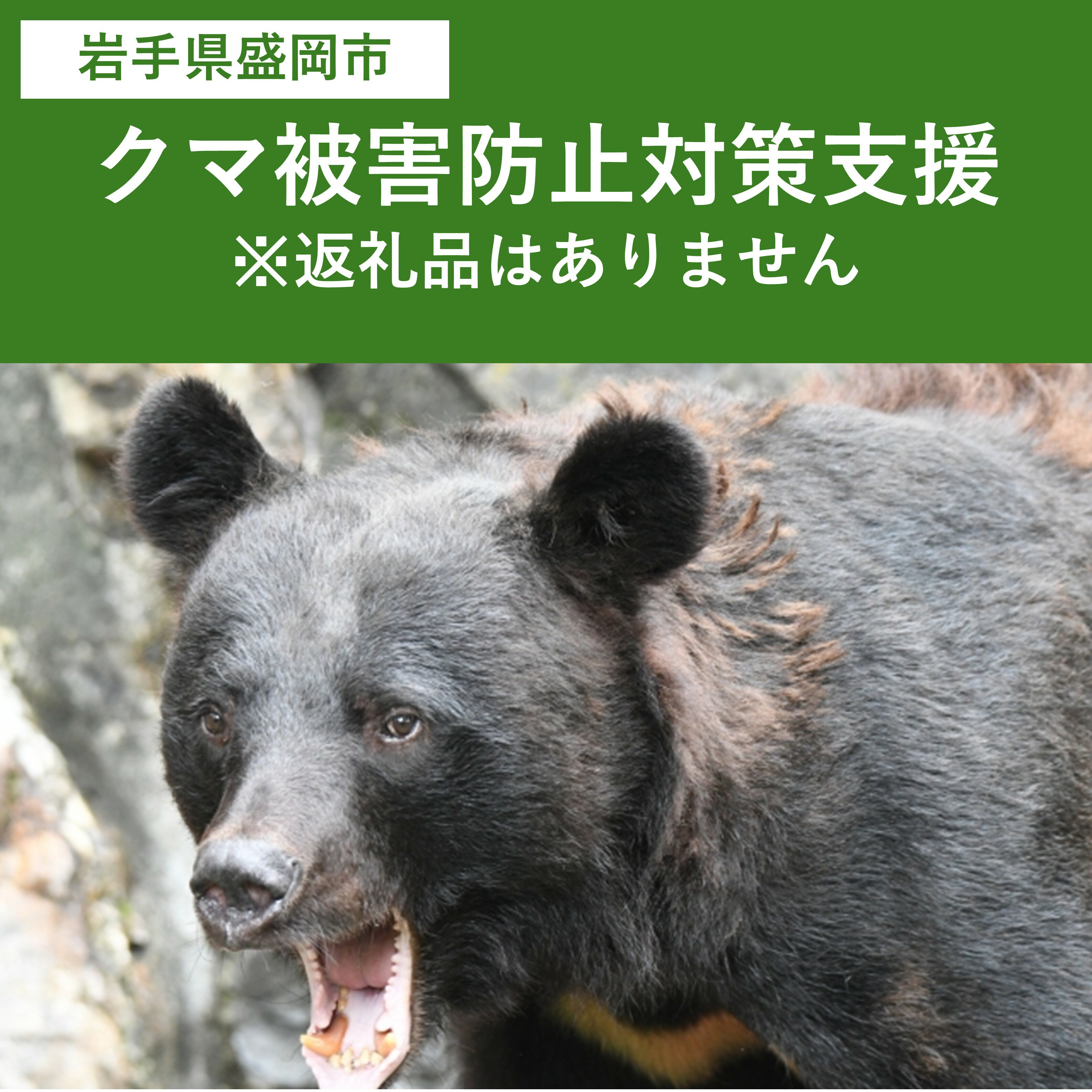 【ふるさと納税】クマ被害防止対策支援（岩手県盛岡市）※返礼品はありません