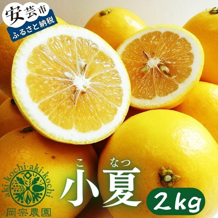 【ふるさと納税】 先行予約 令和8年産 小夏 2kg フルーツ 果物 みかん 期間限定 季節限定 柑橘 家庭用 ギフト プレゼント 贈答 こなつ デザート スイーツ メリーガーデン 高知県産 柑橘類 国産 新鮮 産地直送 贈り物 安芸市 高知県