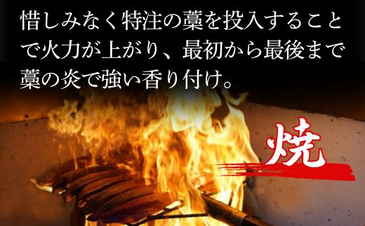 【初鰹・戻り鰹 食べ比べ定期便】 先行予約 R8 4月・10月 お届け 藁100%使用 ! 生かつおの完全藁焼きタタキ 塩・特製タレ 食べ比べセット 約3~4人前 冷蔵 高知 久礼 山本鮮魚店 かつお