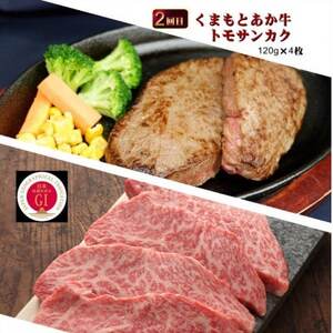 【毎月定期便】【GI認証】くまもとあか牛 食べ比べ Fセット(益城町)全3回【配送不可地域：離島】【4067033】