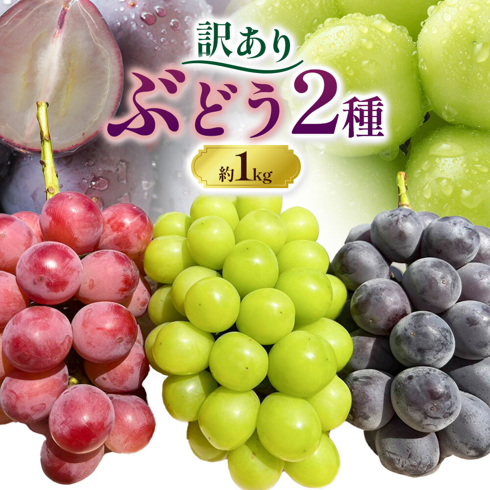 【ふるさと納税】訳あり ぶどう 2種 セット 約1kg ( 2房 ) シャインマスカット ＋ ピオーネ or クイーンニーナ or オーロラブラック 株式会社日本植生グループ本社 NISSHOKU FARM《9月下旬-12月末頃出荷》ブドウ 浅口市 【配送不可地域あり】 (離島)