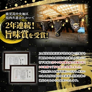 No.1142-A 薩摩和牛切り落とし(500g×1P) 国産 九州産 牛肉 和牛 薩摩和牛 赤身 焼き肉 焼肉 期間限定 切り落とし 切り落し 切落し 冷凍【さつま屋産業】