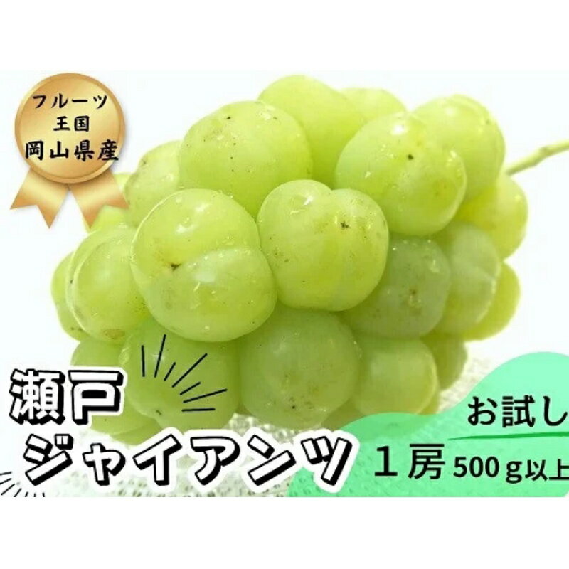 【ふるさと納税】【お試し】フルーツ王国岡山　朝採り新鮮！人気ぶどう瀬戸ジャイアンツ1房【2025年9月下旬～発送予定】離島発送不可 / ブドウ 葡萄 先行予約 フルーツ 果物 真庭市 瀬戸ジャイアンツ 果物 フルーツ 新鮮 当日出荷 家庭用 ぶどう専門 林ファミリー 真庭市