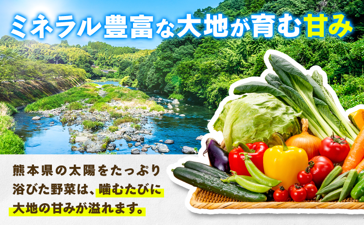 旬の野菜・果物詰め合わせセット 10-15品 氷川町産 道の駅竜北《30日以内に出荷予定(土日祝除く)》熊本県 氷川町 旬 フルーツ 果物 くだもの 野菜 やさい 新鮮---hkw_mer_10_10