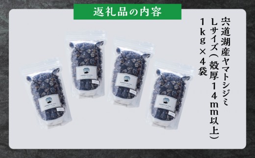 漁師直送！宍道湖産ヤマトシジミ・Lサイズ 冷凍 4kg  ｜ヤマトシジミ 宍道湖産  貝 冷凍 味噌汁  砂抜き 大粒 奥宇賀屋 ふるさと納税 人気 おすすめ 出雲市