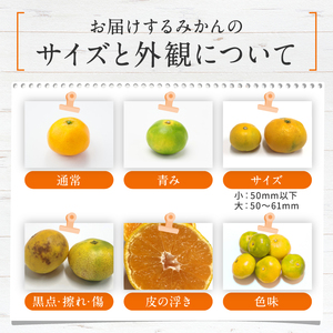 訳あり 熊本県産 温州みかん 約 1.5kg | 果物 くだもの フルーツ 柑橘 柑橘類 みかん ミカン 温州 大小混合 熊本県 玉名市