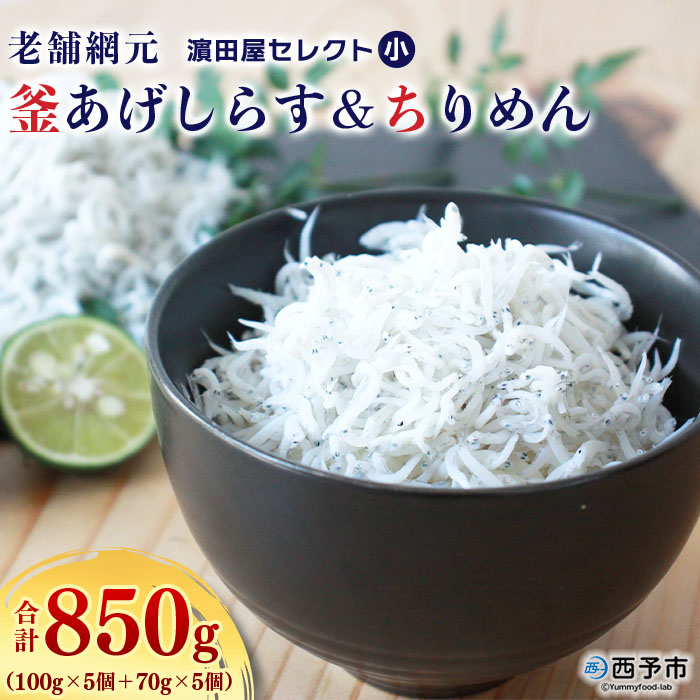 ＜老舗網元 濱田屋セレクト小 釜あげしらす(100g×5個)＆ちりめん(70g×5個) 合計850g＞ 釜揚げ シラス じゃこ 詰め合わせ セット 海鮮 海産物 丼 おにぎり 具材 ご飯 おつまみ おやつ 小魚 乾物 国産 マルヨシ水産 特産品 愛媛県 西予市【冷凍】『1か月以内に順次出荷予定』