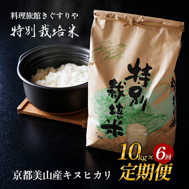 【ふるさと納税】定期便 6回　料理旅館きぐすりや　令和8年産 　特別栽培米キヌヒカリ 10kg　お届け：2025年9月下旬より順次配送