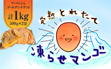 完熟 とれたて 凍らせ マンゴー セット （ アーウィン ・ ゴールデンナゲット ） C063-001 果物 フルーツ 冷凍
