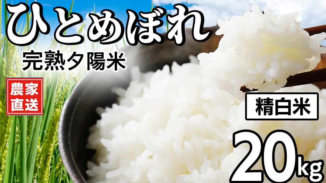 【 新米 】 完熟夕陽米 (精白米) 20kg (5kg×4) ひとめぼれ 特別栽培米 令和8年産 生産農家直送  米 産地直送 こめ 精米 白米 ご飯 夕陽米 岩手県 特別栽培 農家直送 事業者応援