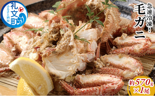 急速冷凍！毛ガニ約570g×1尾