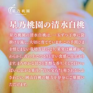 【清水白桃】岡山県産 三つ星 星乃桃園 1.2kg (4～5玉)【配送不可地域：離島】【1614283】