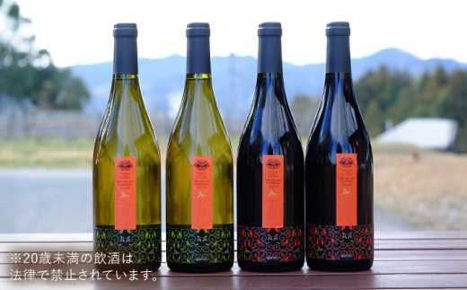 ワイン 奥出雲葡萄園 杜のワイン白2本／赤2本セット 国産 ワイン セット 白ワイン 赤ワイン 4本 4本セット 詰め合わせ 飲み比べ セット まとめ買い お酒 酒 アルコール 日本ワイン 国産ワイン