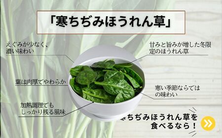 ほうれん草 2kg 10袋 ほうれん草 ほうれんそう