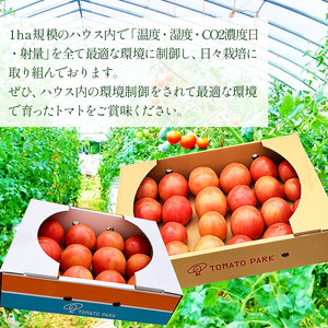  とまとトマト 約2㎏  | 栃木県 下野市